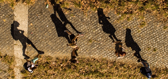 Students walking on stone path