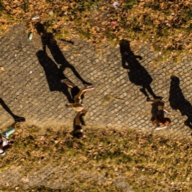 Students walking on stone path